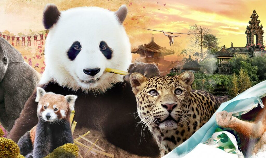 PAIRI DAIZA HALLOWEEN