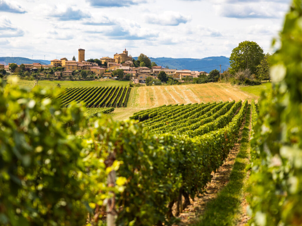 SÉJOUR LYON & LE BEAUJOLAIS