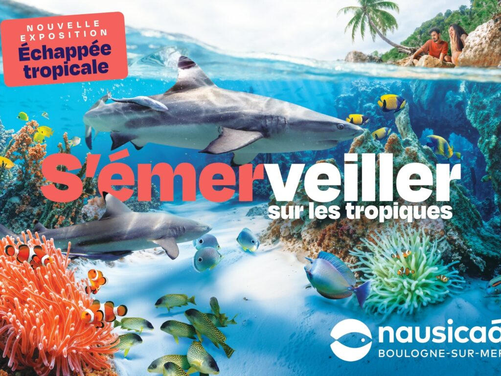 NAUSICAA & CROISIÈRE COMMENTÉE